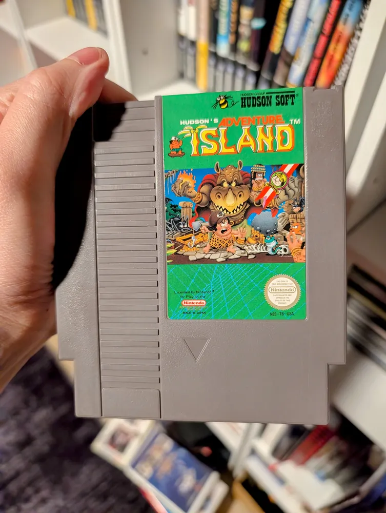 Adventure Island, NES