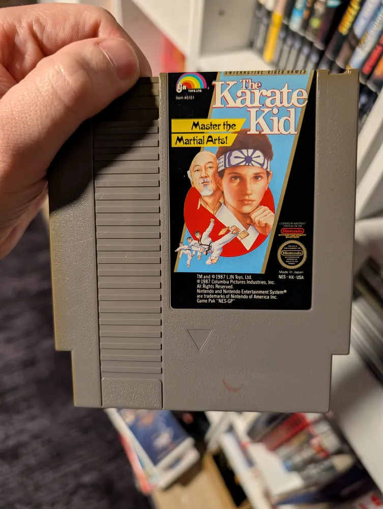 Karate Kid, NES