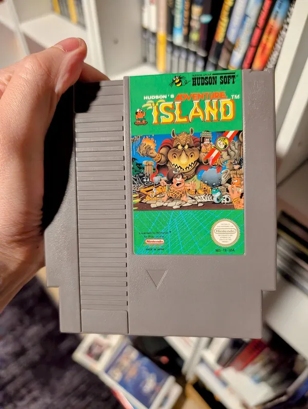 Adventure Island, the photo from the post