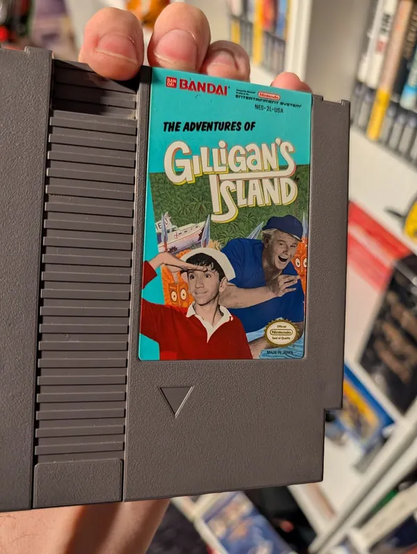 The Adventures of Gilligan's Island, the photo from the post