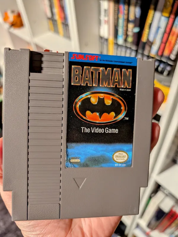 Batman: The Video Game, the photo from the post