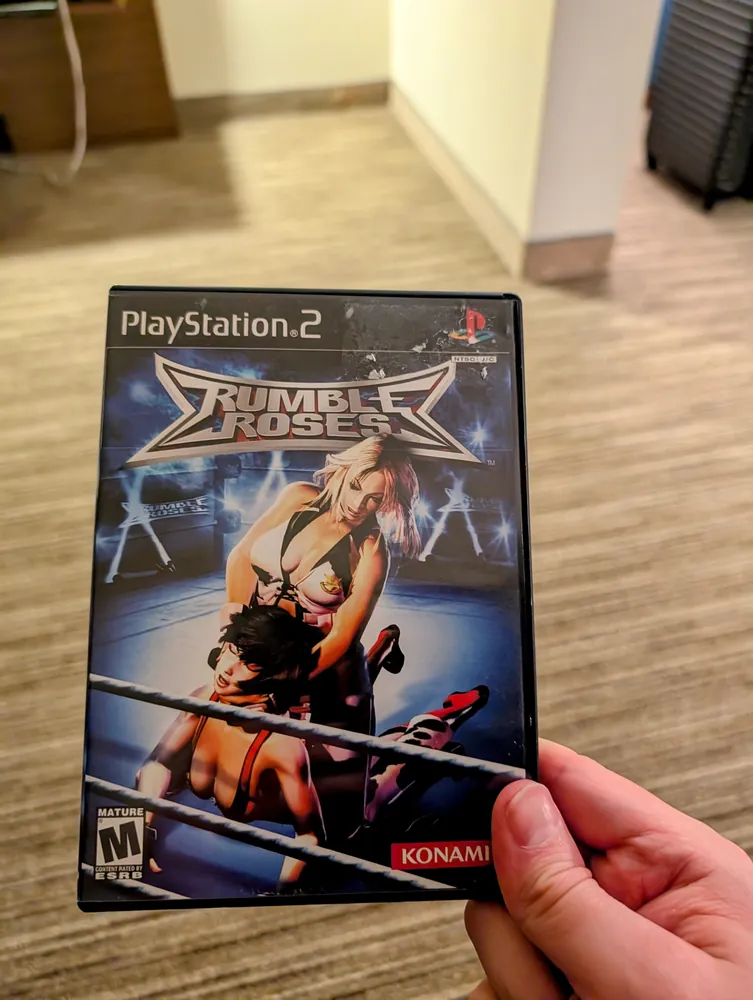 Rumble Roses, PlayStation 2