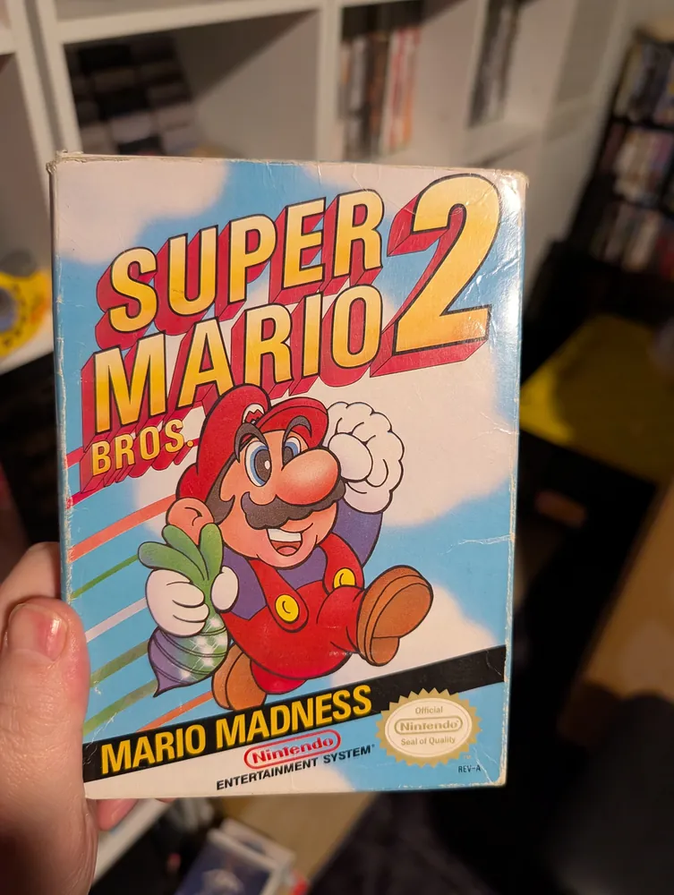 Super Mario Bros. 2, NES