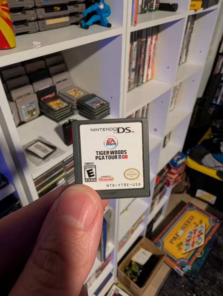 Flash Focus: Vision Training in Minutes a Day, Nintendo DS